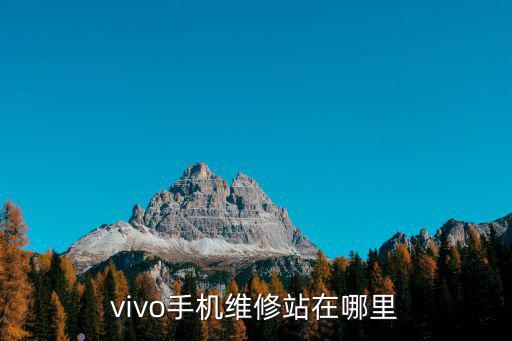 vivo手機維修站在哪里