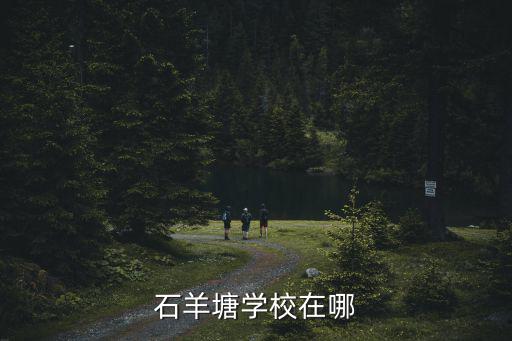 石羊塘學校在哪