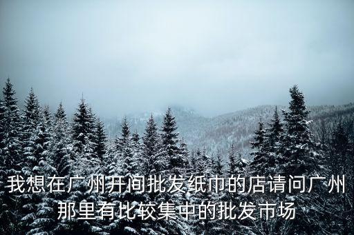 我想在廣州開間批發紙巾的店請問廣州那里有比較集中的批發市場