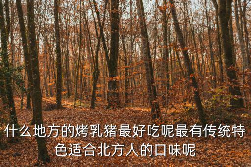 什么地方的烤乳豬最好吃呢最有傳統特色適合北方人的口味呢