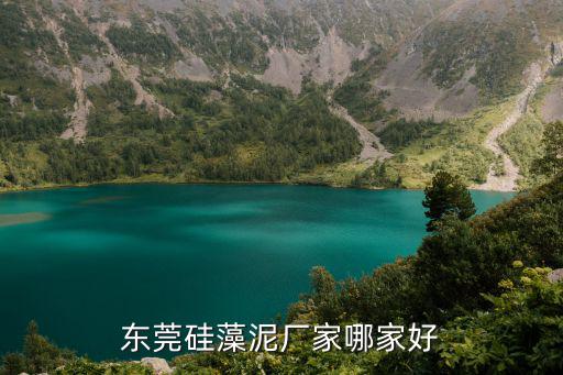 東莞硅藻泥廠家哪家好