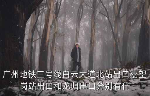 廣州北出站口，廣州北高鐵在哪個地鐵站出口