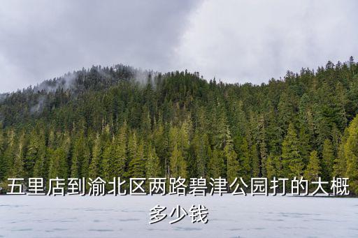 重慶市渝北區碧津公園女尸，五里店到渝北區兩路碧津公園打的大概多少錢