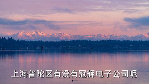 上海普陀區有沒有冠輝電子公司呢