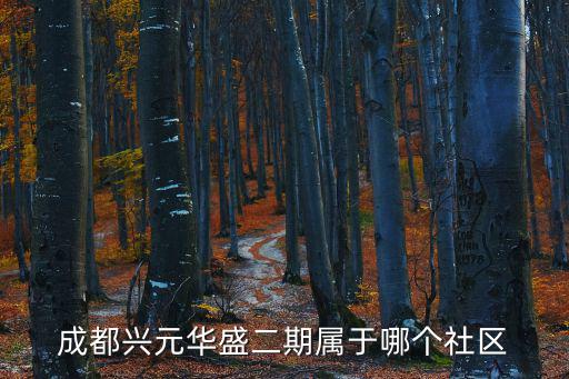 成都興元華盛二期屬于哪個社區
