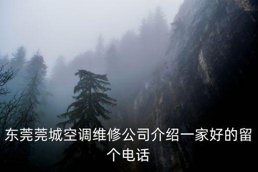 東莞松山湖附近有修空調的嗎，東莞莞城空調維修公司介紹一家好的留個電話