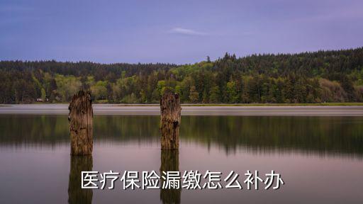 醫(yī)療保險(xiǎn)漏繳怎么補(bǔ)辦