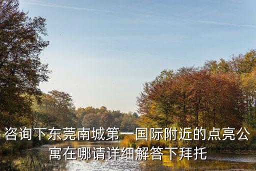 咨詢下東莞南城第一國際附近的點亮公寓在哪請詳細解答下拜托