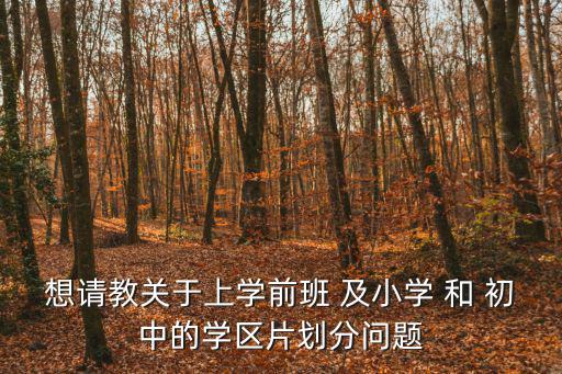 想請教關于上學前班 及小學 和 初中的學區片劃分問題