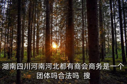 湖南四川河南河北都有商會商務是一個團體嗎合法嗎  搜
