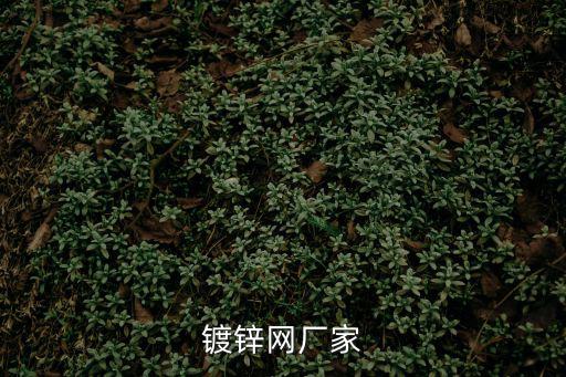 鍍鋅網廠家