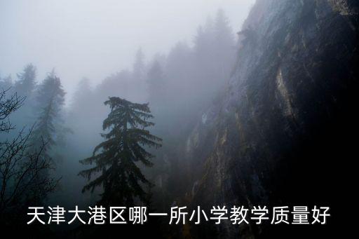 天津大港區哪一所小學教學質量好