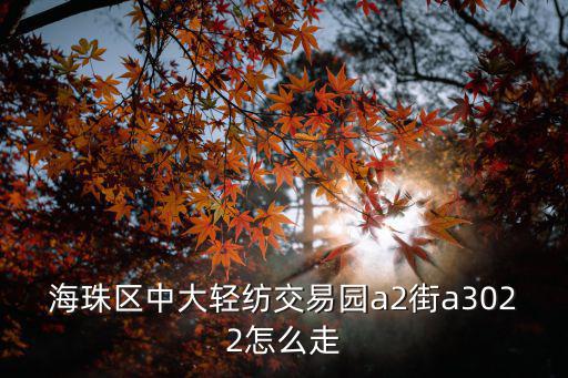 海珠區中大輕紡交易園a2街a3022怎么走