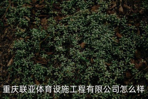 重慶聯亞體育設施工程有限公司怎么樣
