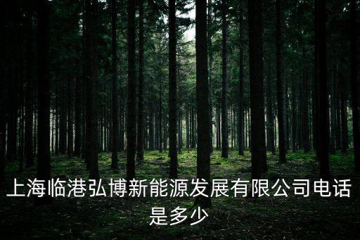 上海臨港弘博新能源發展有限公司電話是多少