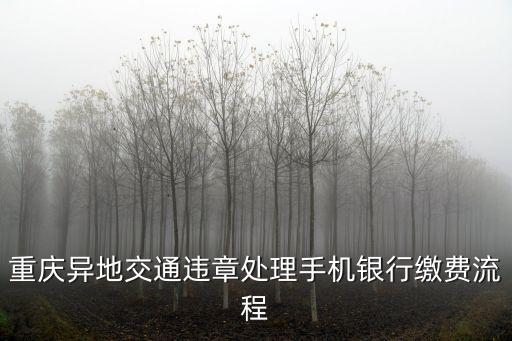 重慶異地交通違章處理手機銀行繳費流程