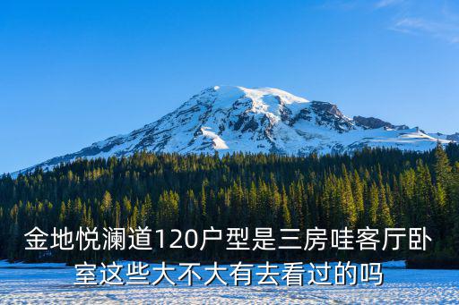 金地悅瀾道120戶型是三房哇客廳臥室這些大不大有去看過的嗎