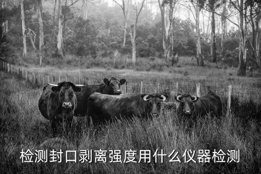 檢測封口剝離強度用什么儀器檢測