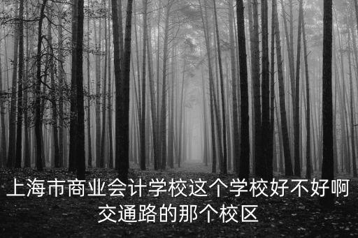 上海市商業會計學校這個學校好不好啊交通路的那個校區