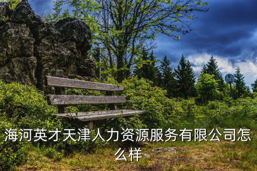 海河英才天津人力資源服務有限公司怎么樣