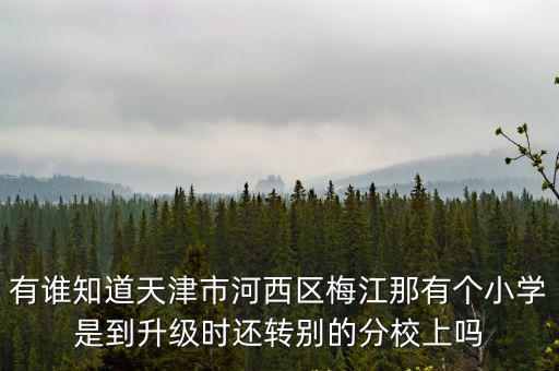 有誰知道天津市河西區(qū)梅江那有個(gè)小學(xué)是到升級(jí)時(shí)還轉(zhuǎn)別的分校上嗎
