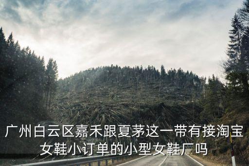 廣州白云區嘉禾跟夏茅這一帶有接淘寶女鞋小訂單的小型女鞋廠嗎