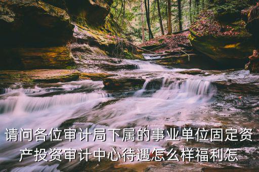請問各位審計局下屬的事業單位固定資產投資審計中心待遇怎么樣福利怎