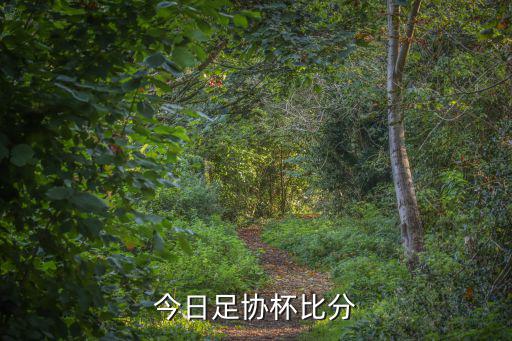 今日足協(xié)杯比分