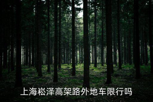 上海市崧澤路，崧澤高架收費嗎