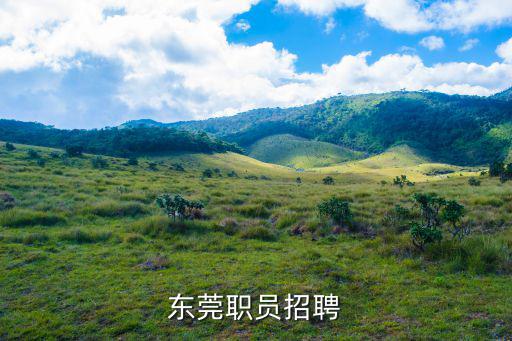 東莞職員招聘