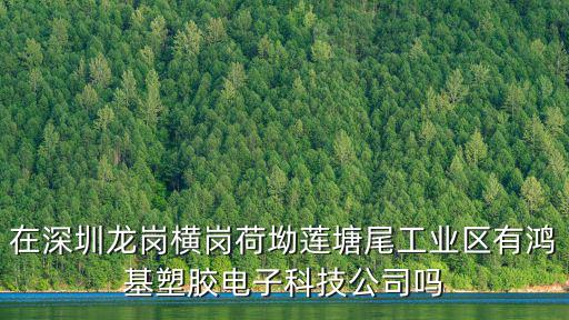 在深圳龍崗橫崗荷坳蓮塘尾工業(yè)區(qū)有鴻基塑膠電子科技公司嗎