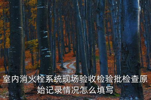 室內消火栓系統現場驗收檢驗批檢查原始記錄情況怎么填寫