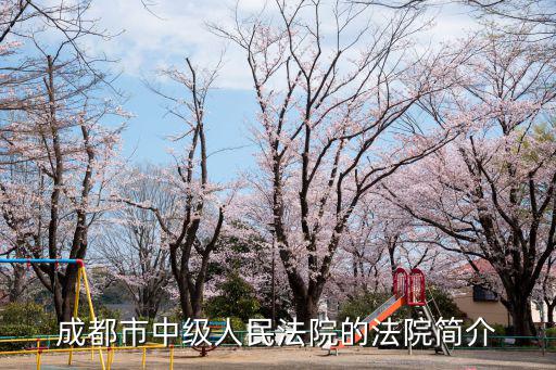 成都市中院級別，成都市中級人民法院的法院簡介