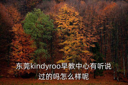 東莞kindyroo早教中心有聽說過的嗎怎么樣呢