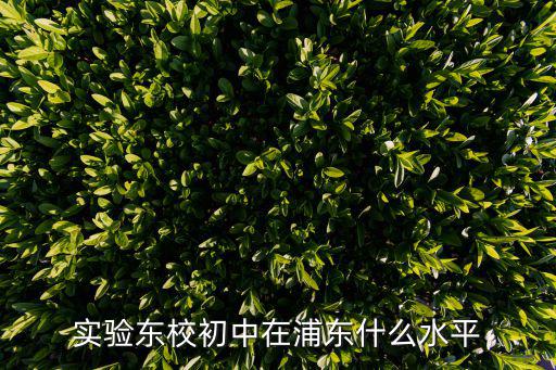 實驗東校初中在浦東什么水平