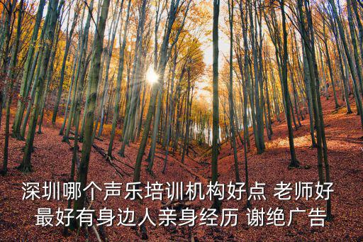 深圳市美聲星，深圳哪個(gè)聲樂(lè)培訓(xùn)的機(jī)構(gòu)比較好價(jià)格合理