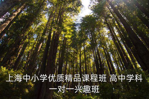 上海中小學優質精品課程班 高中學科一對一興趣班