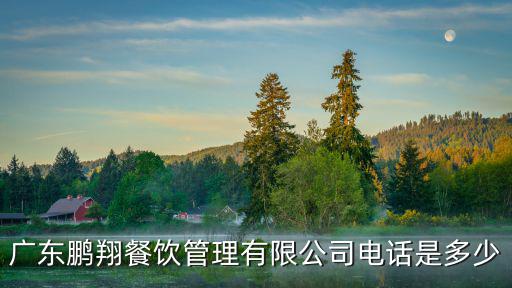 廣東鵬翔餐飲管理有限公司電話是多少