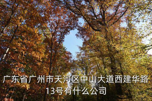 廣東省廣州市天河區(qū)中山大道西建華路13號有什么公司