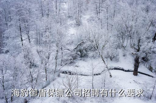 海豹御盾保鏢公司招聘有什么要求