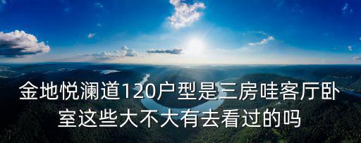 廣州濱海雋城120戶型圖，金地悅瀾道120戶型是三房哇客廳臥室這些大不大有去看過的嗎