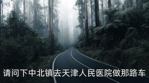 請(qǐng)問下中北鎮(zhèn)去天津人民醫(yī)院做那路車