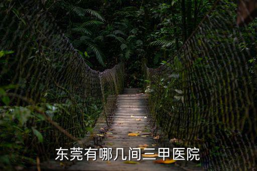 東莞有哪幾間三甲醫院