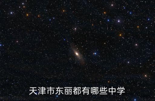 天津市東麗都有哪些中學