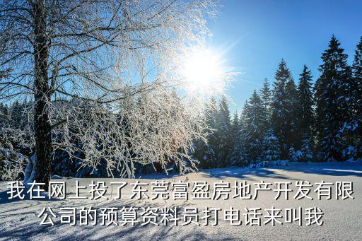 我在網上投了東莞富盈房地產開發有限公司的預算資料員打電話來叫我