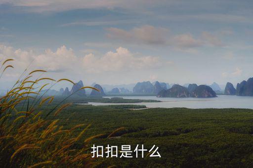 扣扣是什么