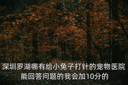深圳兔子醫院，深圳羅湖哪有給小兔子打針的寵物醫院 能回答問題的我會加10分的