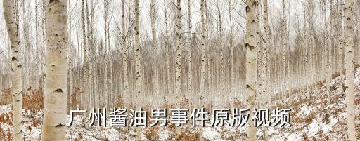 廣州醬油男事件原版視頻