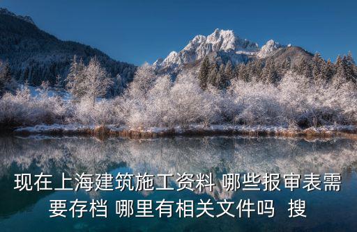 現在上海建筑施工資料 哪些報審表需要存檔 哪里有相關文件嗎  搜