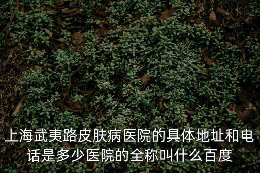 上海市皮膚科醫院保德路電話，上海市皮膚病醫院的醫院地址在哪里